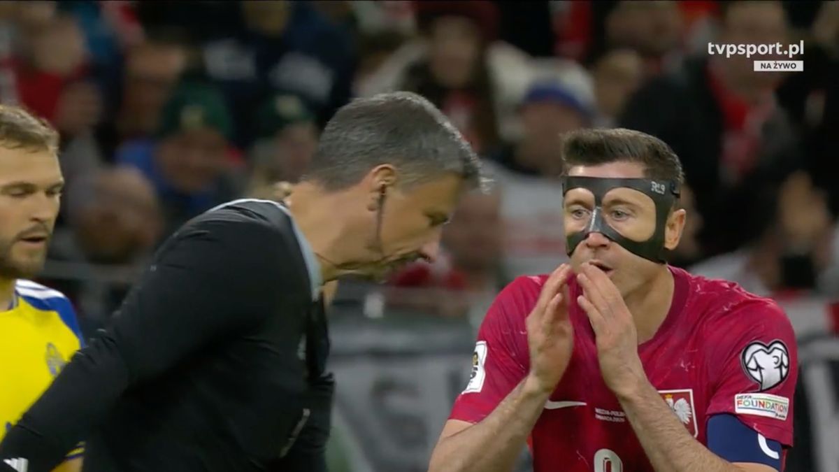 Szwecja - Polska fot. screen TVP Sport