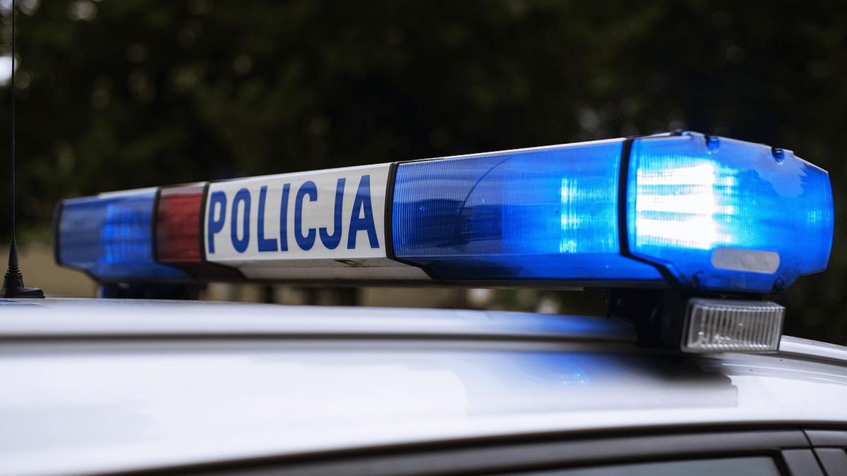 Policja w KRS (zdjęcie poglądowe), fot. Pixaby