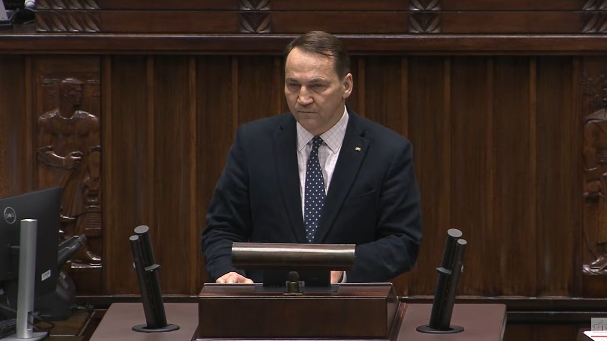 Radosław Sikorski Fot. Sejm/Youtube