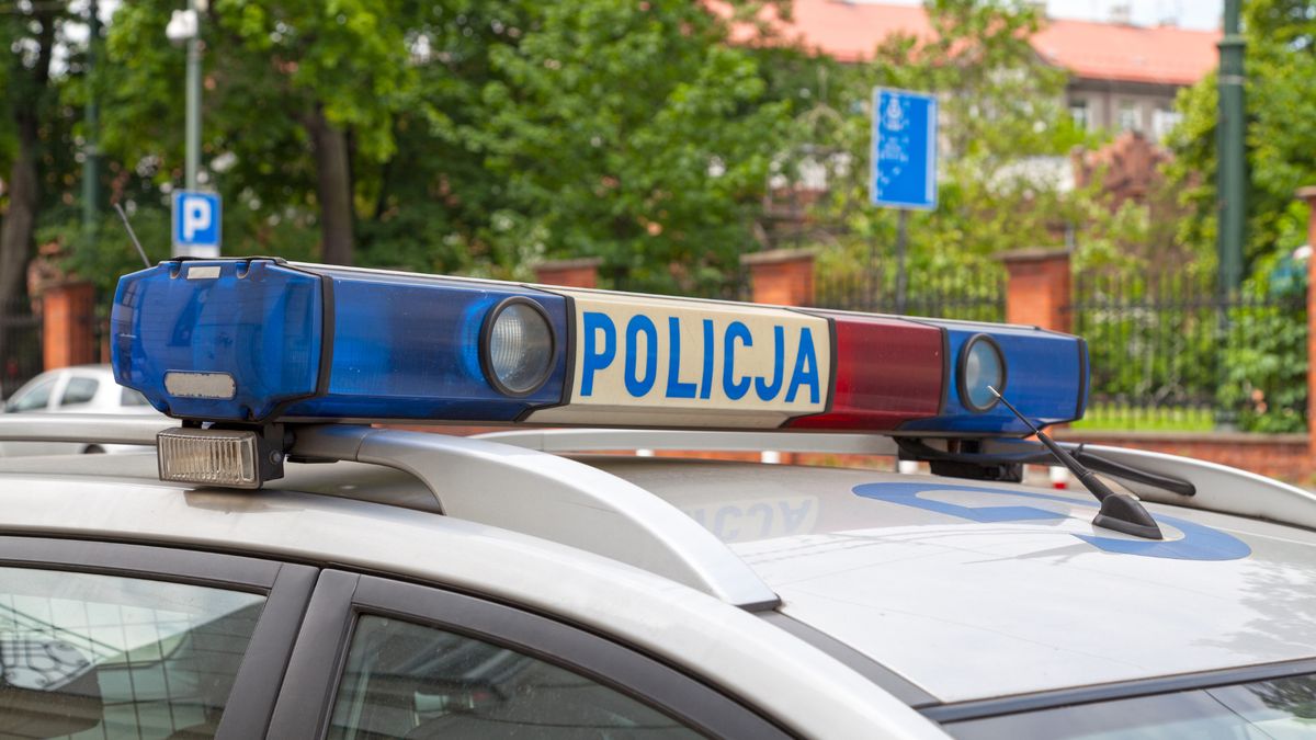 Policja, A1, fot. Canva