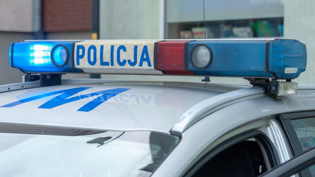 policja wypadek fot. pixabay