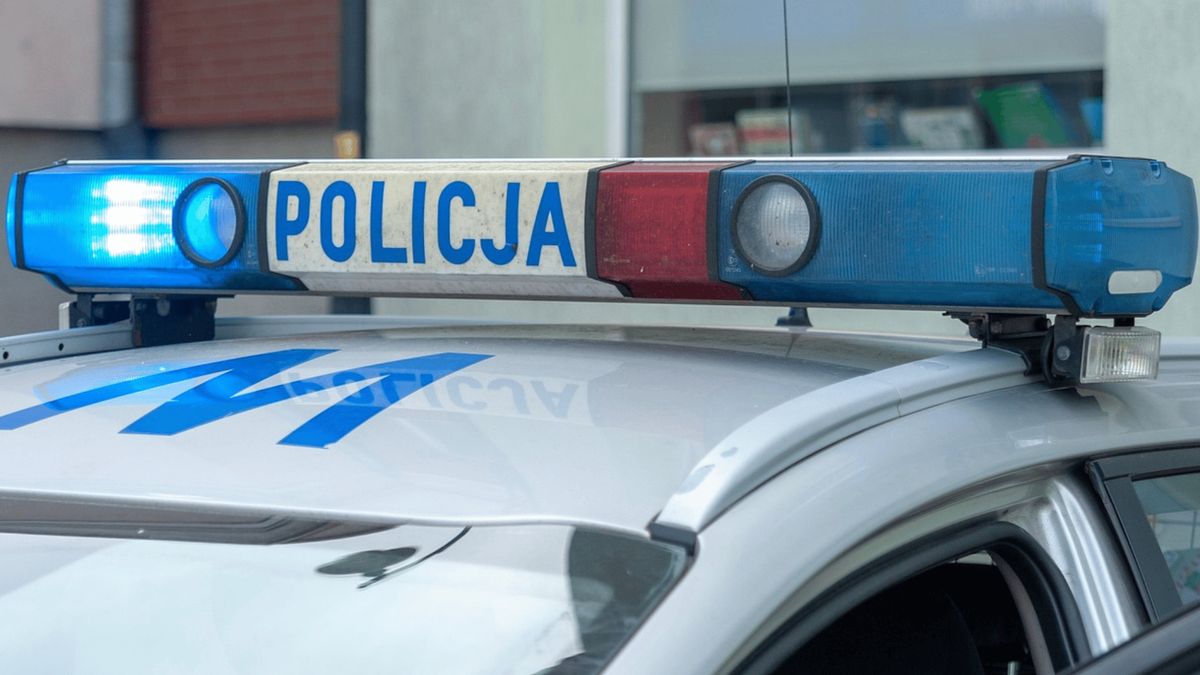 Policja, Fot. Pixabay