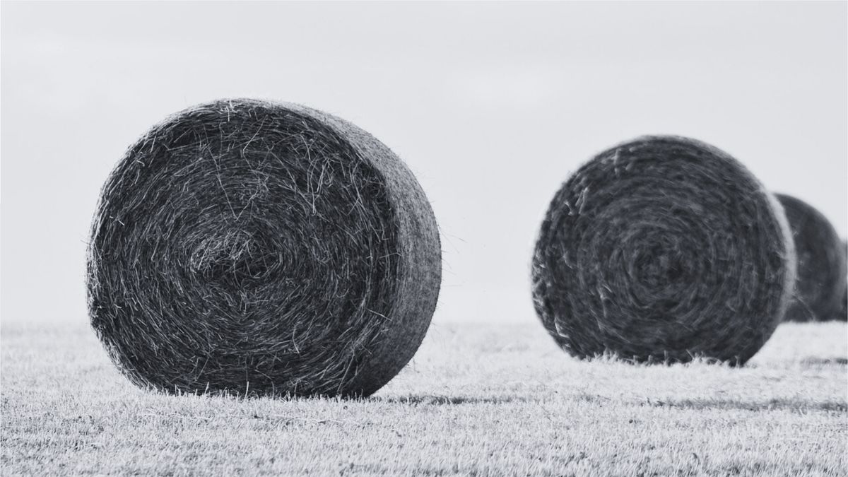 Tragedia w Osława-Dąbrowa, fot. Pixabay