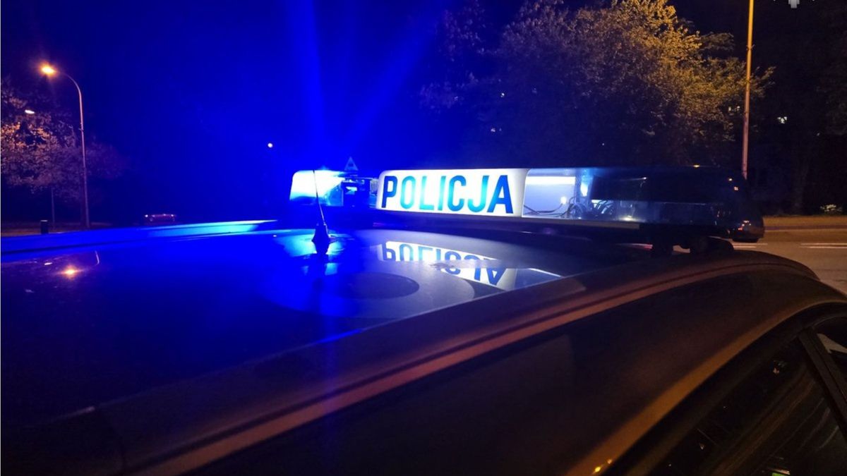 Policja. Fot. gov.pl/Policja Śląska.