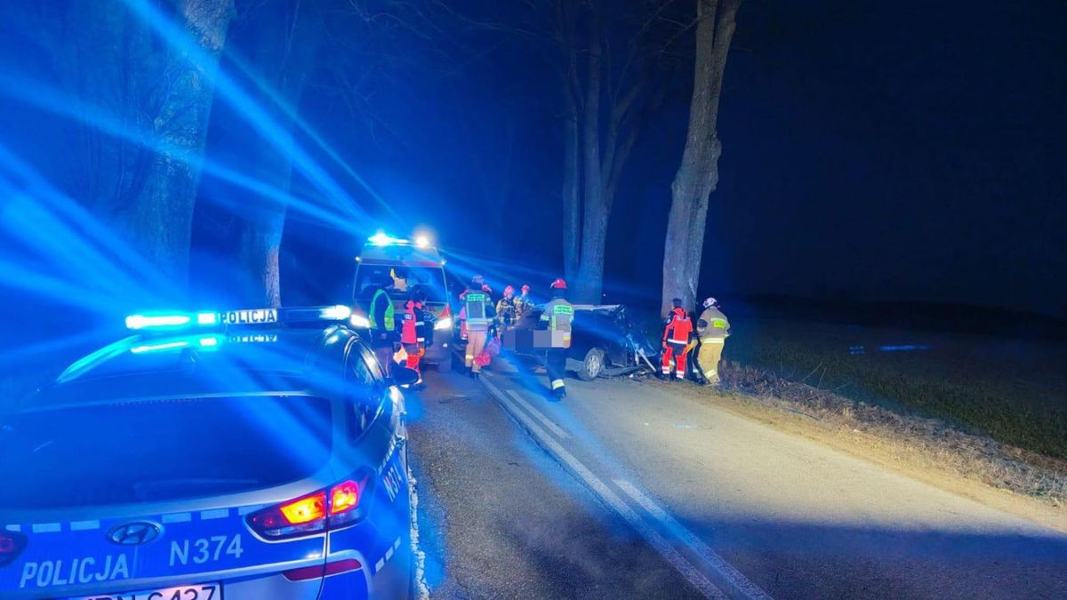 Wypadek w Żelistrzewie. Fot. Facebook/@Komenda Powiatowa Policji w Pucku
