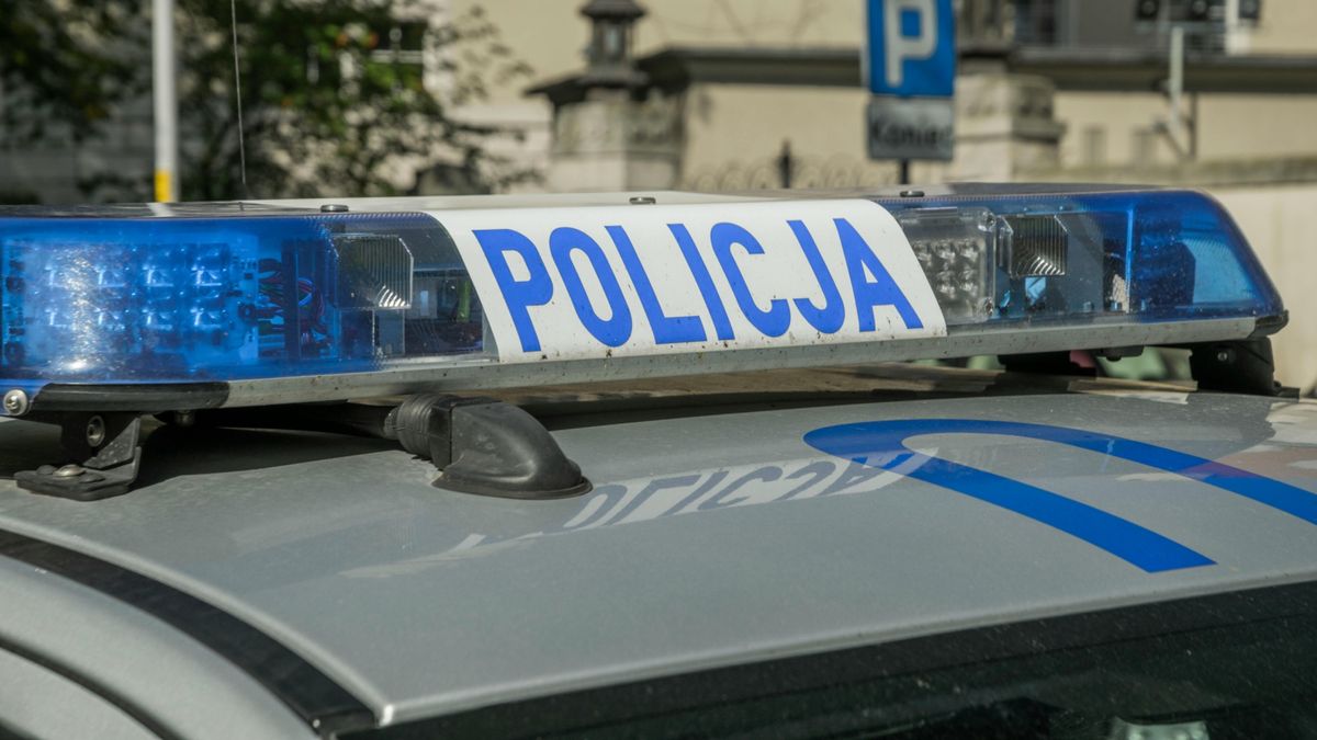 Policja, Fot. Pexels