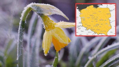 Cała Polska na żółto, IMGW bije na alarm. Wydano pilne alerty, zostały godziny