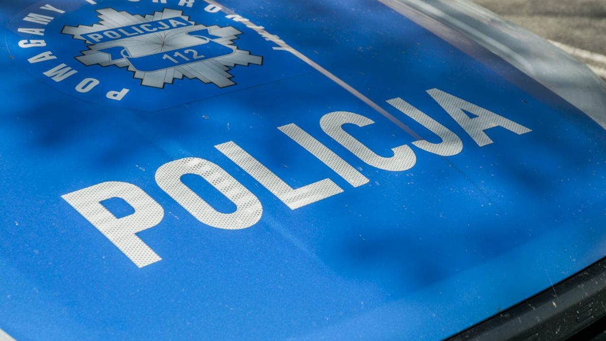 Policja, fot. SHOX art z pexels