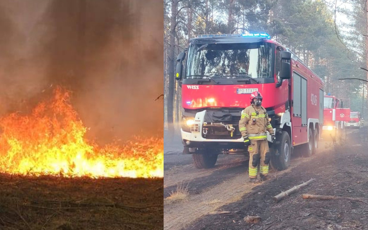 Ogromny pożar w Wielkopolsce. Samolot, drony i ponad 100 strażaków w akcji