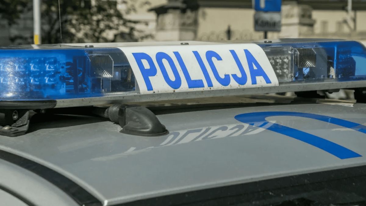 Akcja policji w sklepie Castorama w Rybniku (zdjęcie poglądowe), fot. Pexels