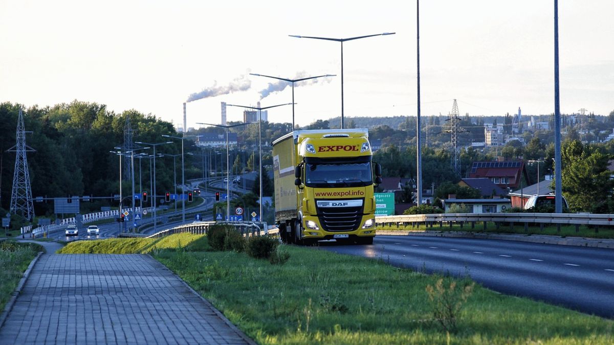 Tir. Fot. Pexels