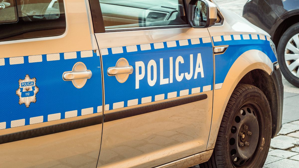 Policja. Fot. Pexels