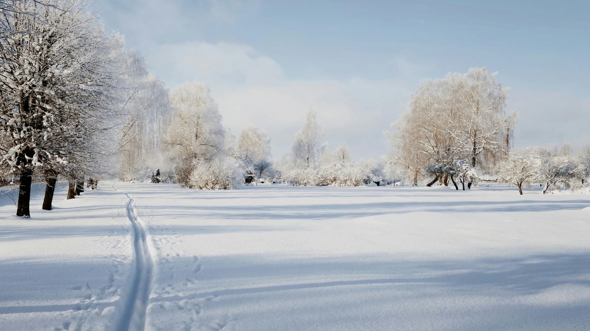 Śnieg, Fot. Ivars/Pixabay