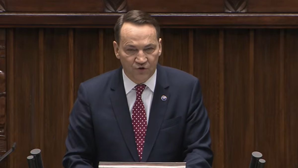 Radosław Sikorski fot. kadr z YouTube @Sejm RP