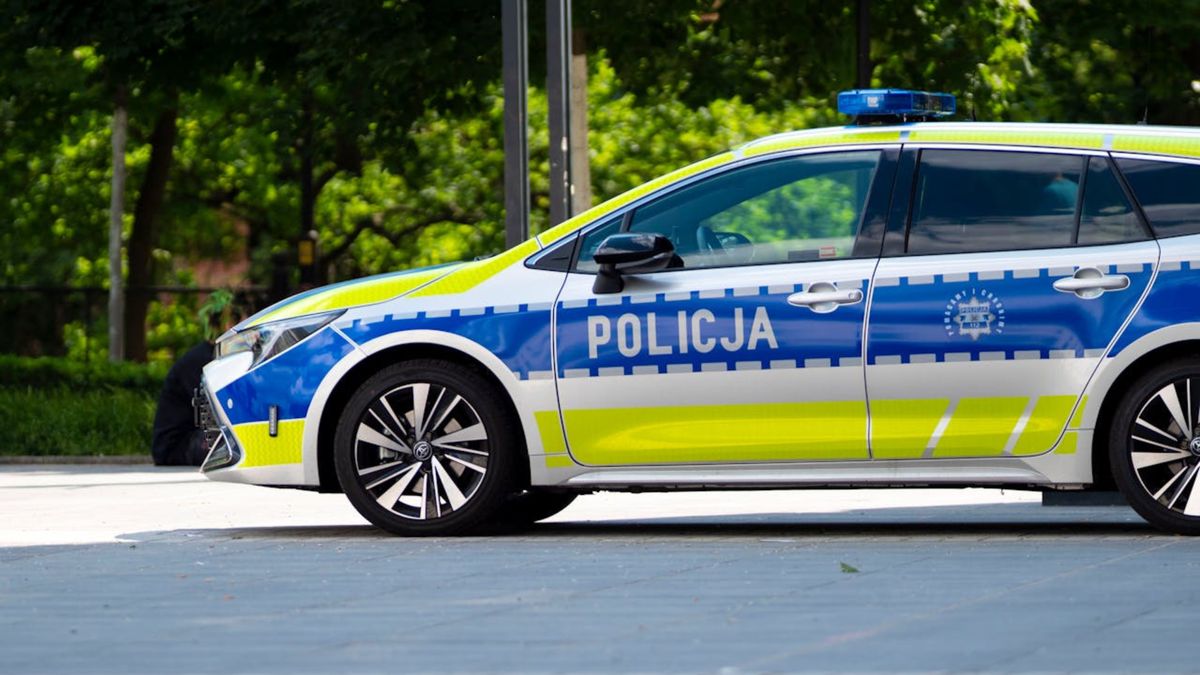 policja fot. SHOX ART z pexels (zdjęcie podglądowe)