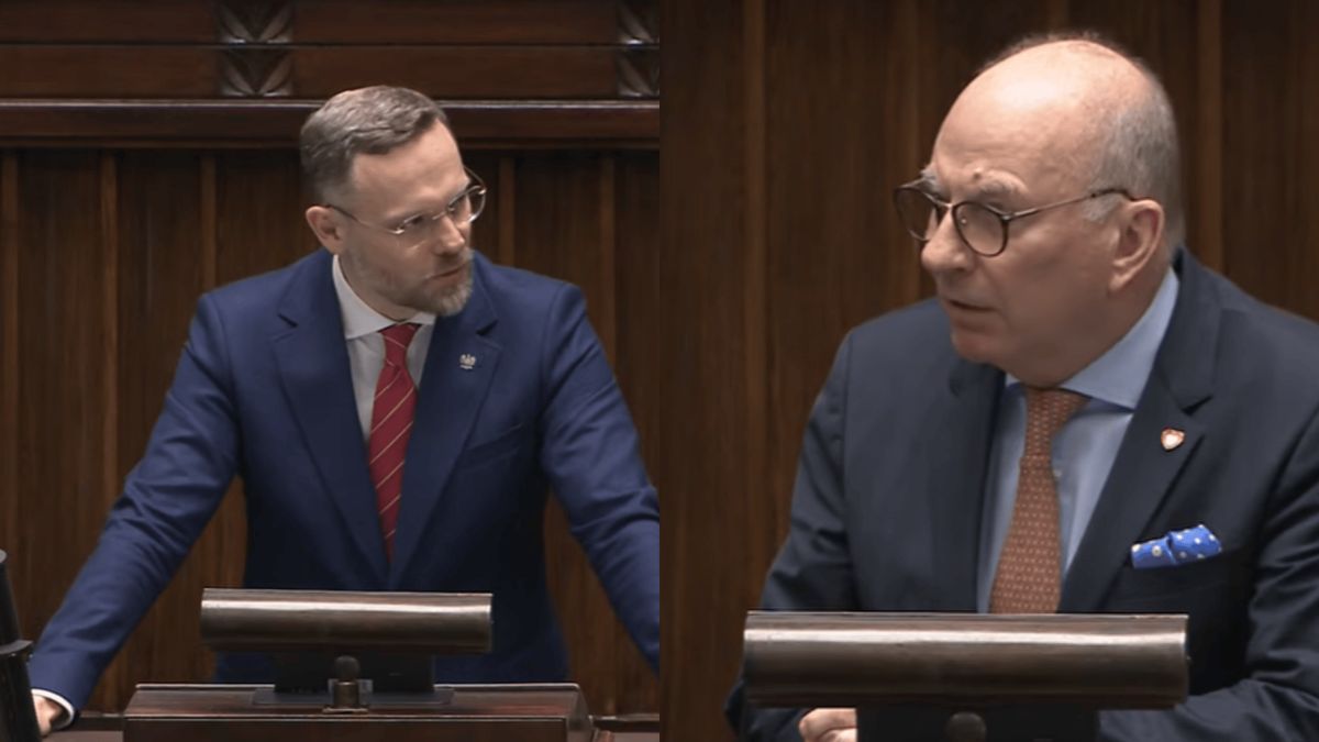 Sejm, 53. posiedzenie, fot. screen YouTube/ Sejm RP