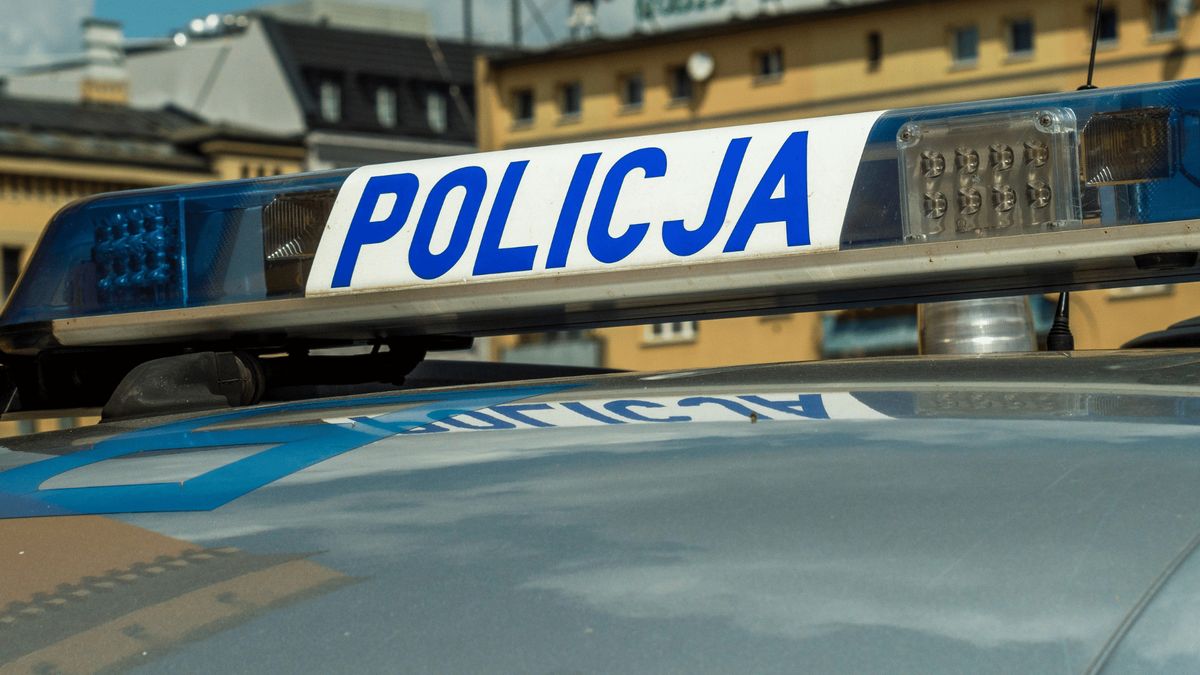 Policja, Fot. Pexels