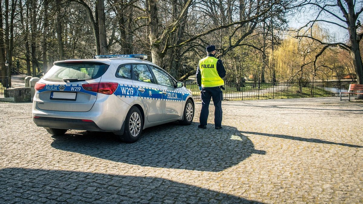 policja fot. Pixabay