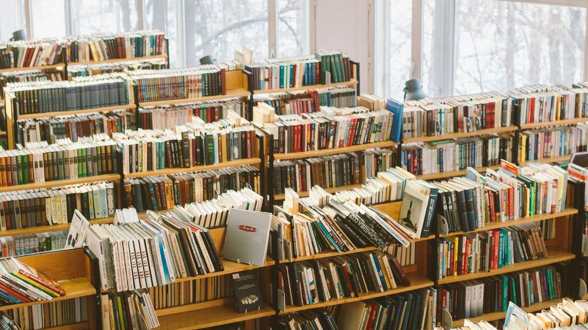 Biblioteka, książki. Fot. Pexels