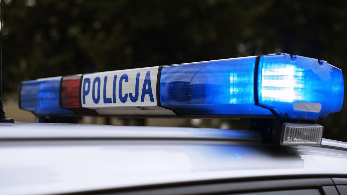 Policja, Fot. Pixabay