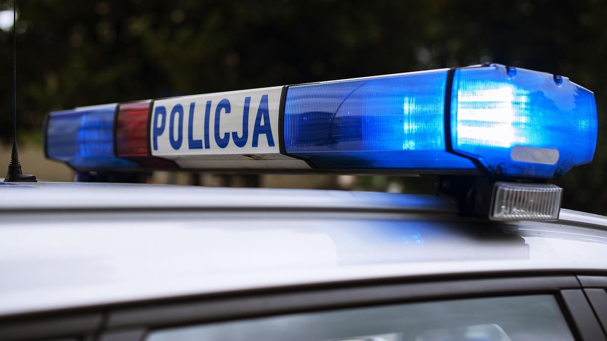 Policja (zdj. ilustracyjne), Fot. AndrzejRembowski/Pixabay