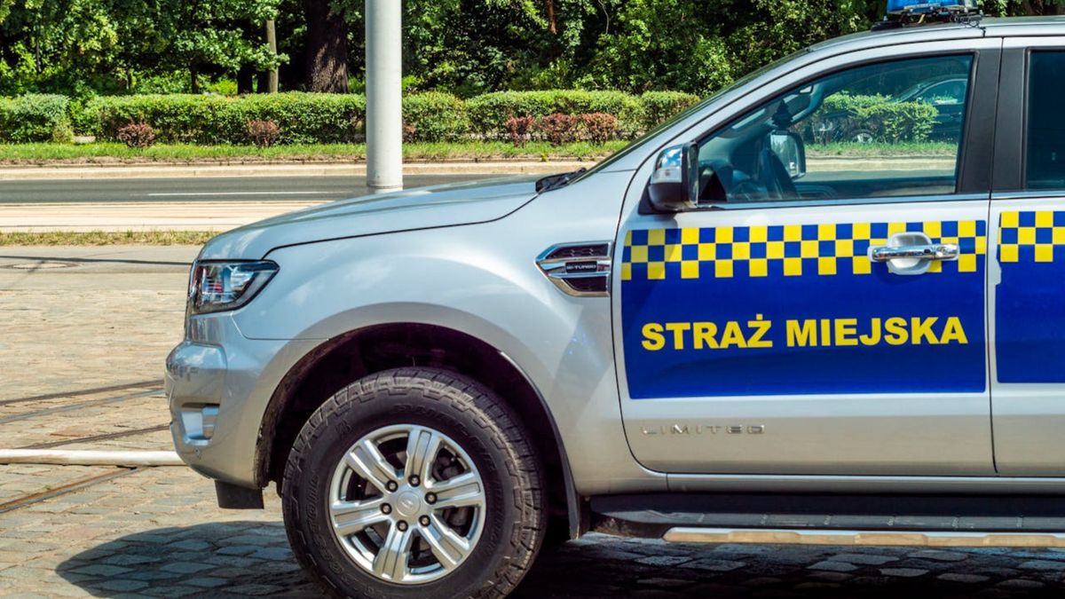 straż miejska fot. SHOX ART z pexels