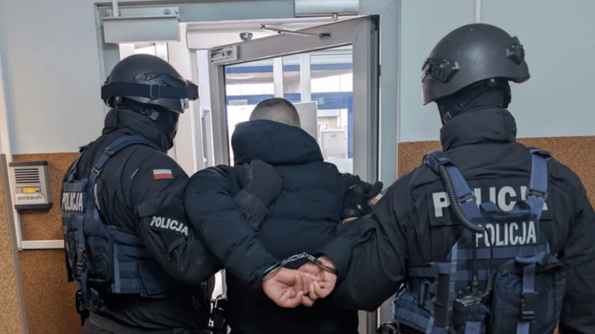 Policja. Fot. Materiały policyjne