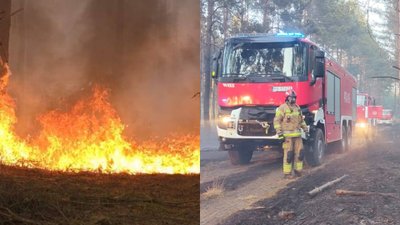 Ogromny pożar w Wielkopolsce. Samolot, drony i ponad 100 strażaków w akcji