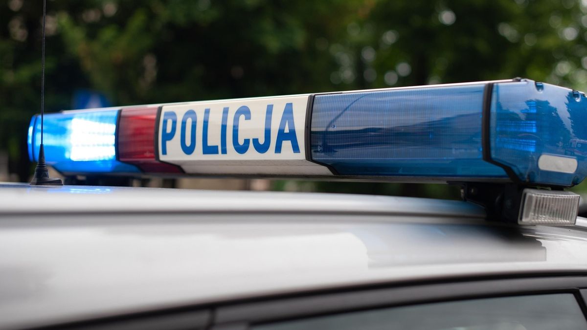Policja, Fot. AndrzejRembowski/Pixabay