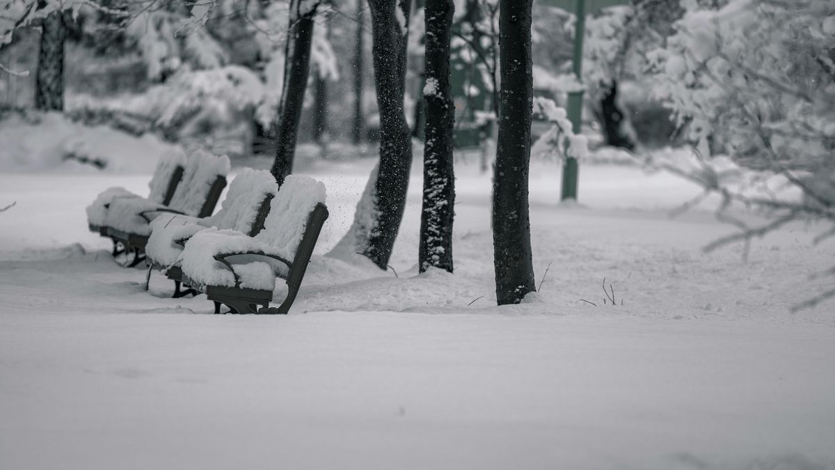 Zima, Fot. Pexels