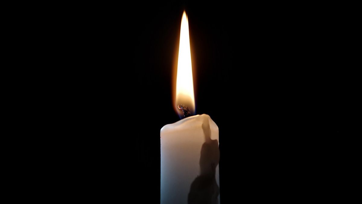 Jacek Antonowicz fot. Henryk Niestrój z Pixabay