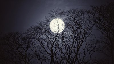Tajemnicze zjawisko na polskim niebie. W ciemności pojawiła się „kula ognia”