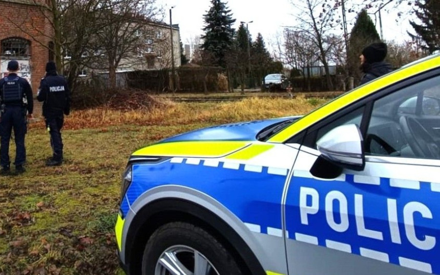 Tragedia podczas zbierania szyszek. Nie żyje jedna osoba, dwie są ranne