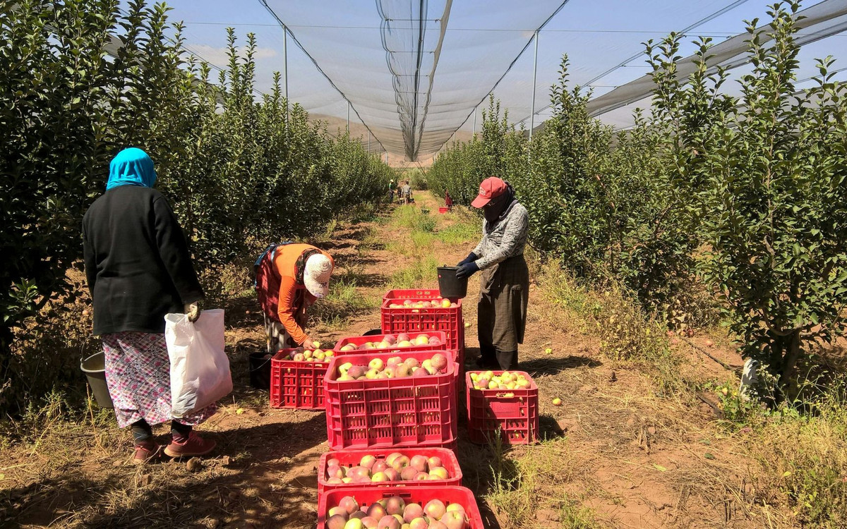Oferty pracy w wakacje. Nawet 15 tys. zł miesięcznie plus dodatki