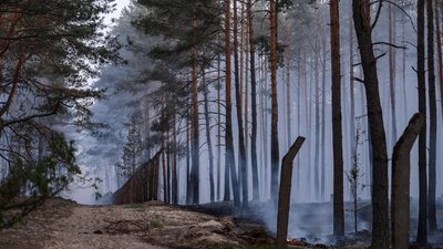 Potężny pożar lasu pod Warszawą. Są nowe informacje, strażacy właśnie przekazali