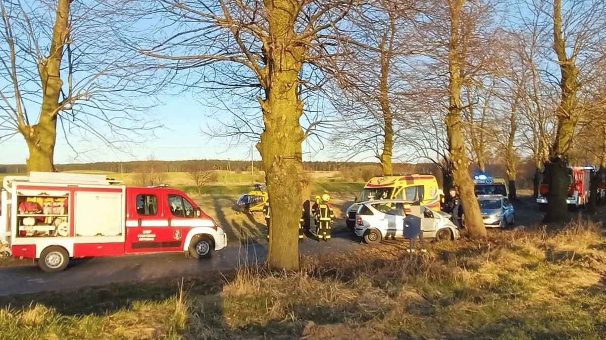 Wypadek, Fot. OSP Trzemeszno