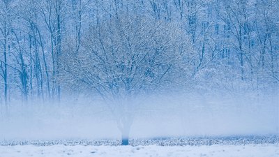 Synoptycy biją na alarm, w Polskę jeszcze uderzą mrozy i śnieg. Podano konkretną datę