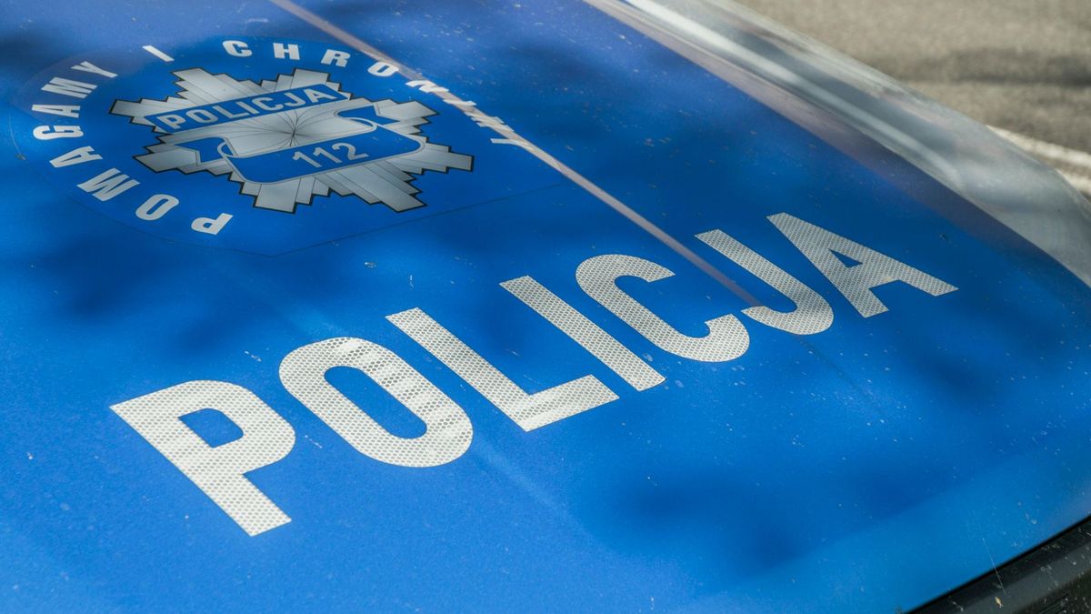 Policja. Fot. Pexels