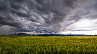 Trudno uwierzyć, jaka będzie pogoda w Boże Ciało. Prognozy są jasne