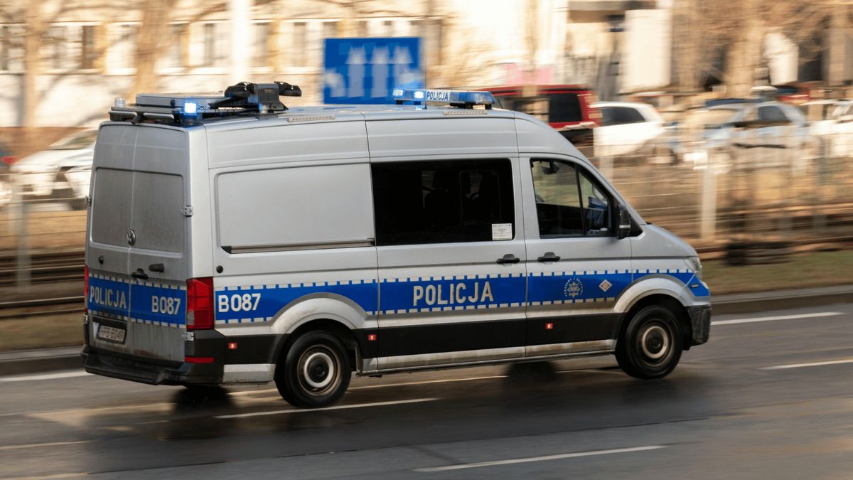 Policja, Fot. Pexels