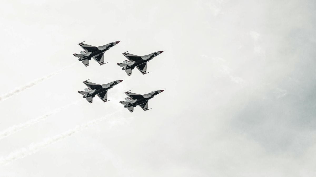 Myśliwce. Fot. Pexels