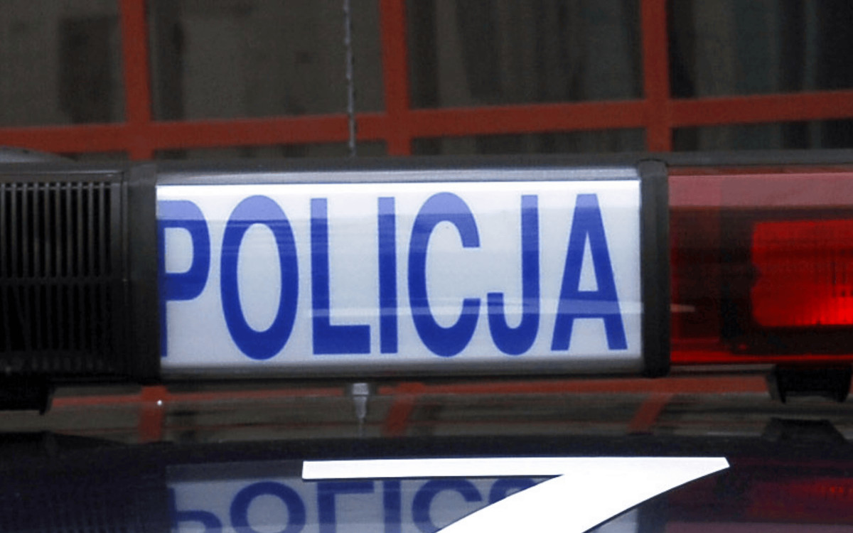 Rozbite trzy radiowozy, ranni policjanci. Karambol na S61
