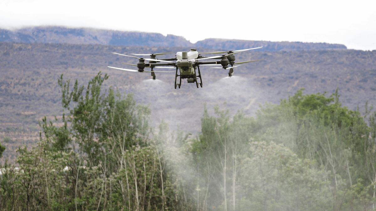 Dron, Fot. Pexels