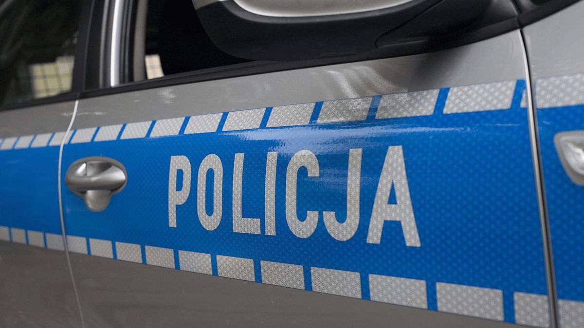 Policja. Fot. Pixabay