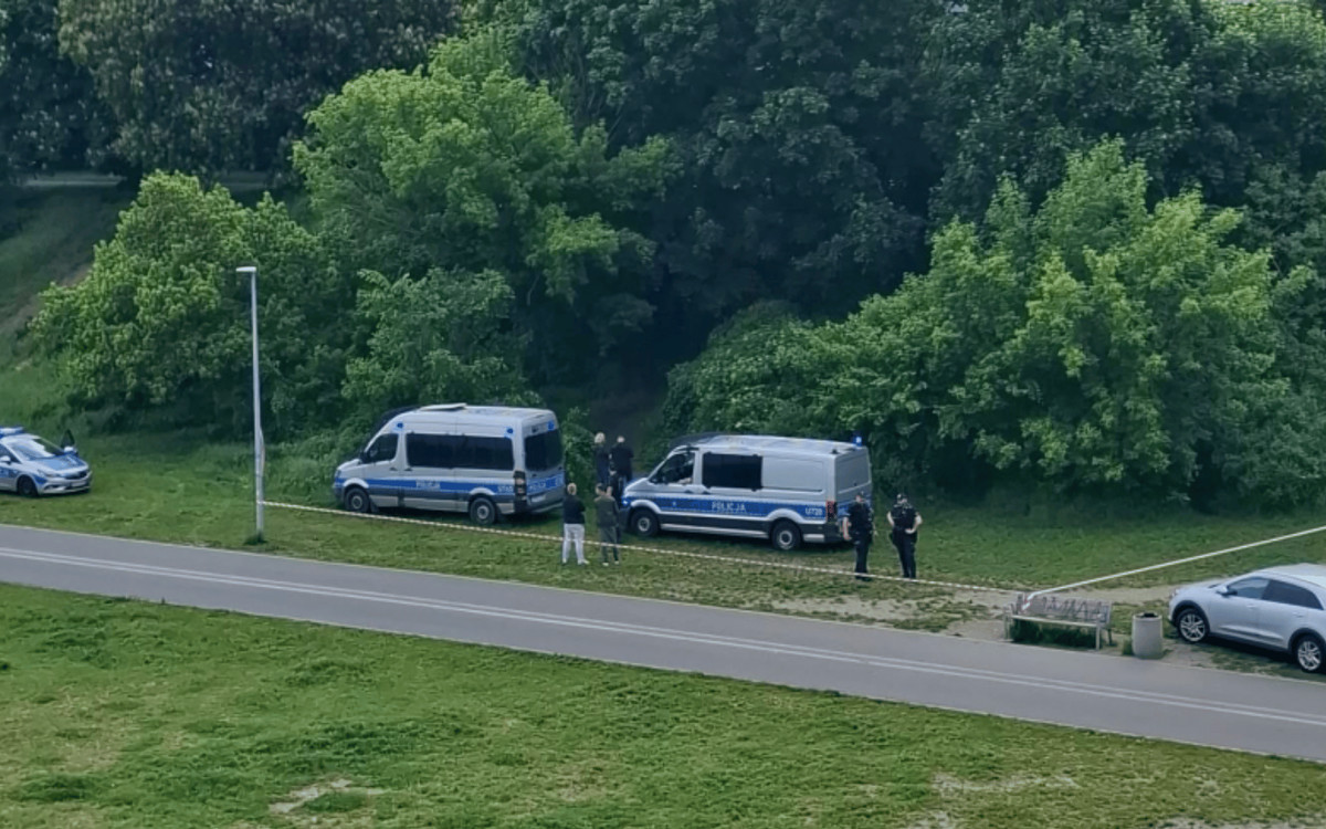 Przechodnie znaleźli zwłoki w zaroślach. Trudno uwierzyć, kim była ofiara