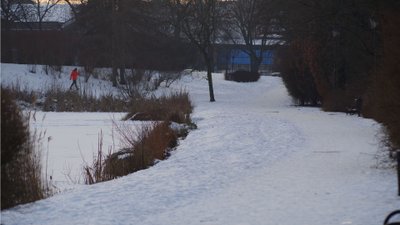W Polskę uderzą śnieżyce. Te województwa zostaną zasypane