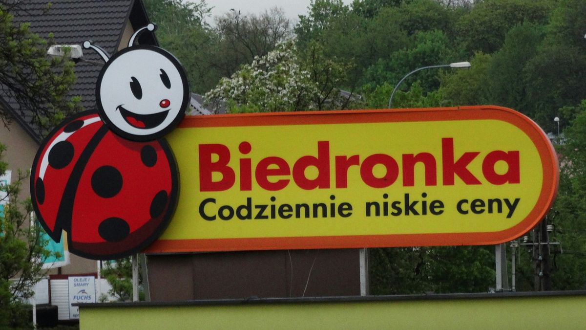 Biedronka, Fot. Piotr Pienkowski/Unsplash