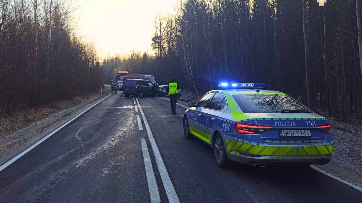 Wypadek na DW 737. Fot. Facebook/@Policja Radom.