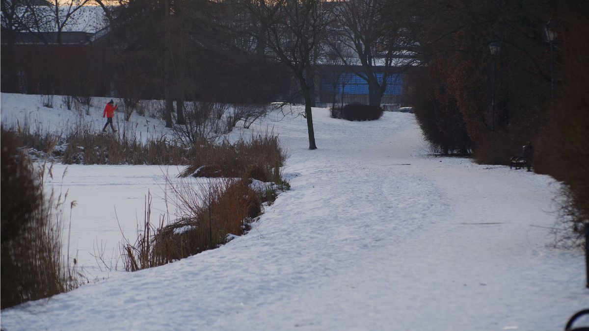 Zima, śnieg. Fot. Materiały własne.