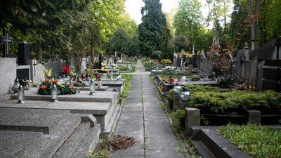 Jakie kwiaty na cmentarz na Wielkanoc? Te sprawdzą się najlepiej